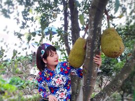 eb81637f31a71cb2aa5d2808a6bcda58