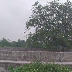 20190430_100559