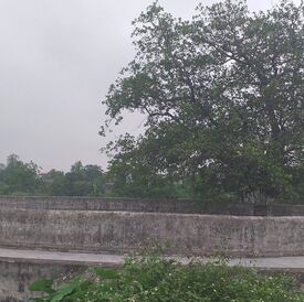 20190430_100600_0_