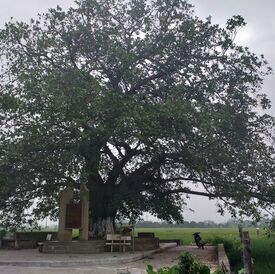 20190430_100716
