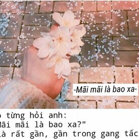 bac993f444c887466fa18c36223c24fb